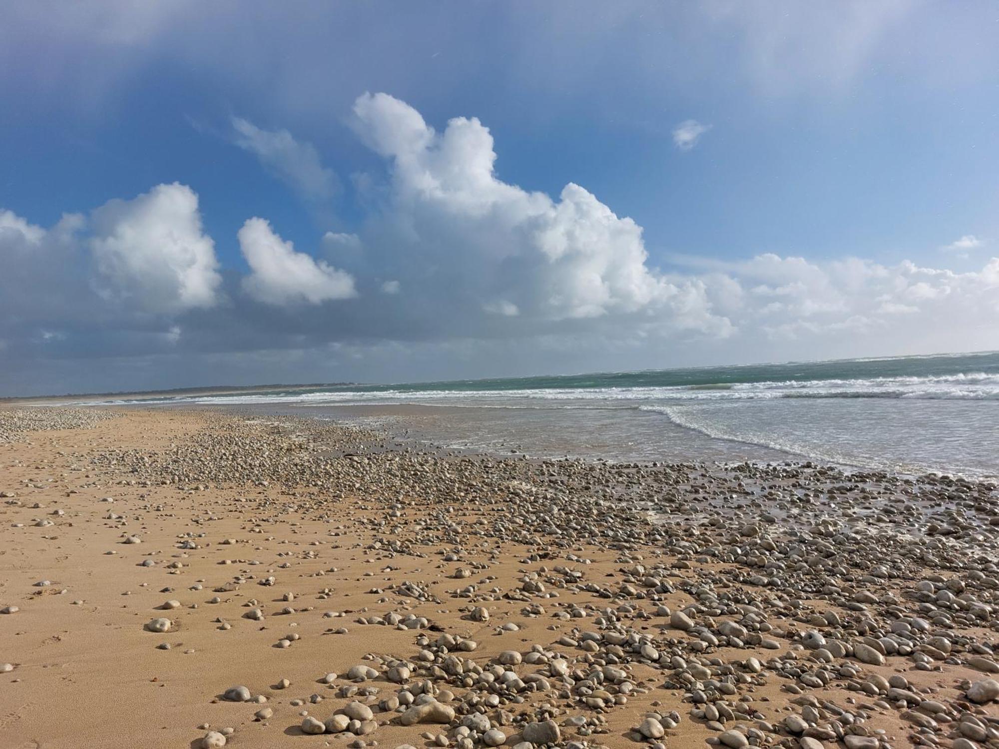 Maison A 8 Min A Pied De La Plage Avec Jardin Clos Et Ombrage Saint-Georges-d'Oleron Εξωτερικό φωτογραφία