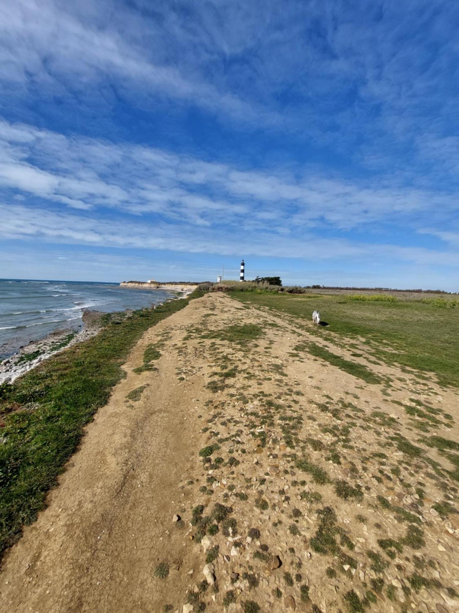 Maison A 8 Min A Pied De La Plage Avec Jardin Clos Et Ombrage Saint-Georges-d'Oleron Εξωτερικό φωτογραφία